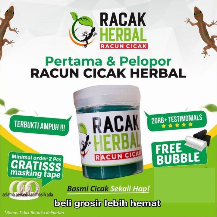 Katakan Selamat Tinggal pada Cicak: Solusi Aman dengan Bascak